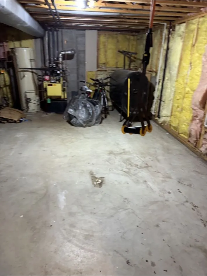 Open basement floor after cleanout