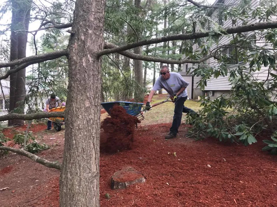 Tom spreading mulch