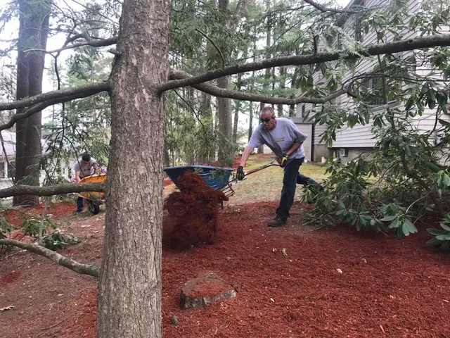 Tom spreading mulch