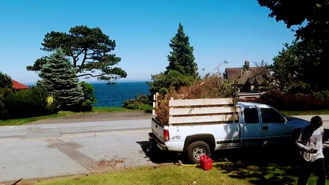 Musso Landscaping