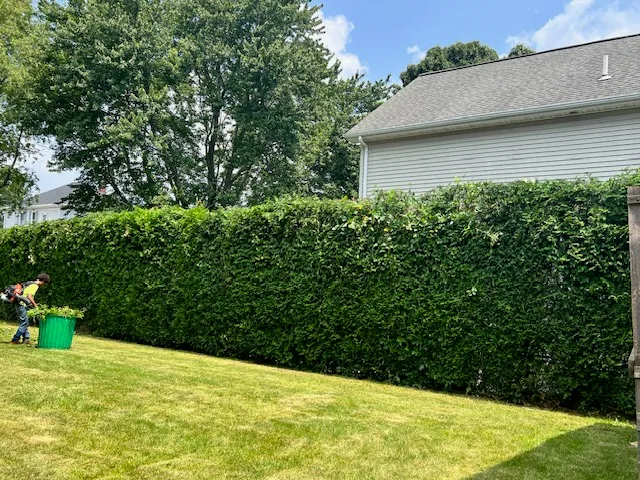 A&V Landscaping and Garden researched project photo
