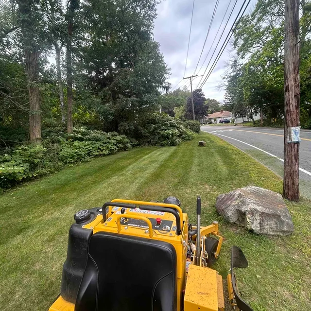 BD LANDSCAPE & TREE SERVICE researched project photo