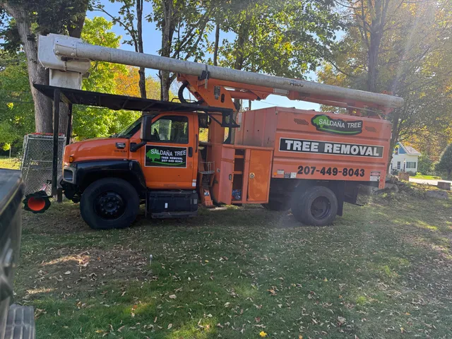 Saldana Tree Services work photo