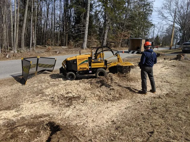 work photo from jmessinastumpgrindingnh.com