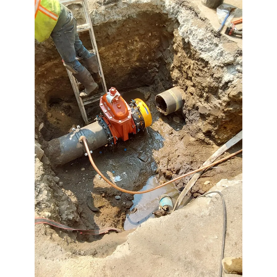 work photo from aswatersewer.com