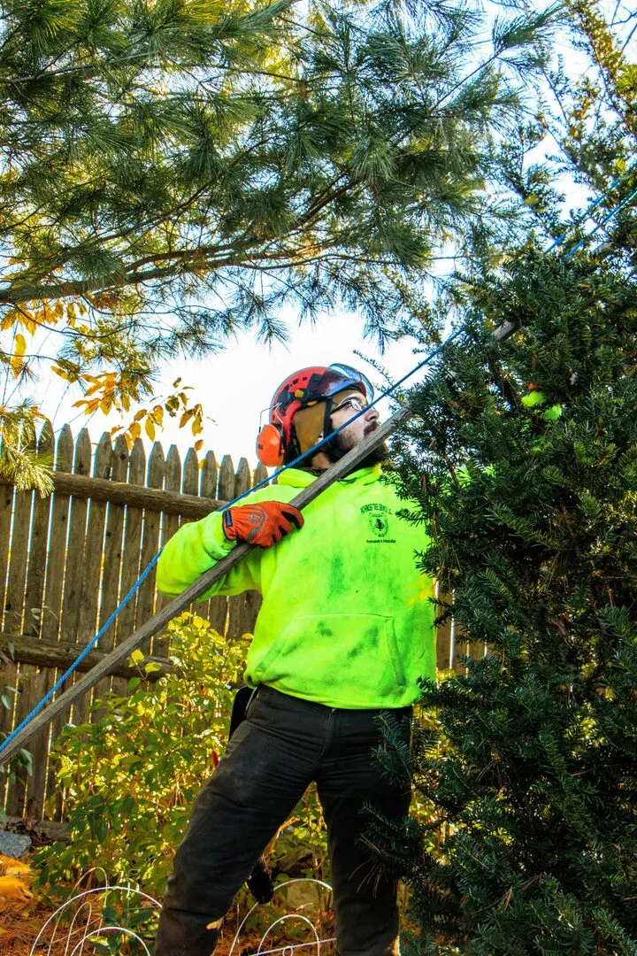 work photo from pathfindertreeservice.com