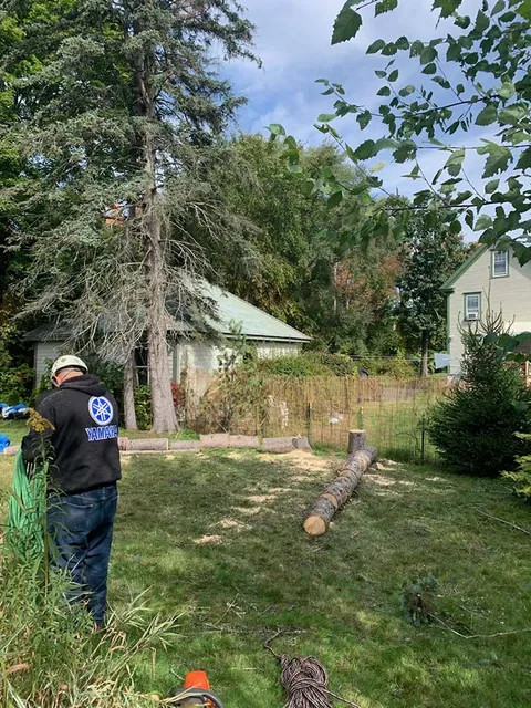 work photo from chapinslawnservice.com