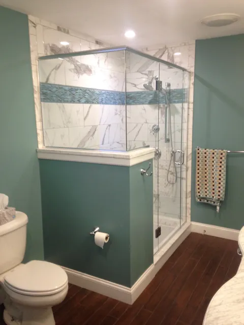 Landine Shower Door work photo