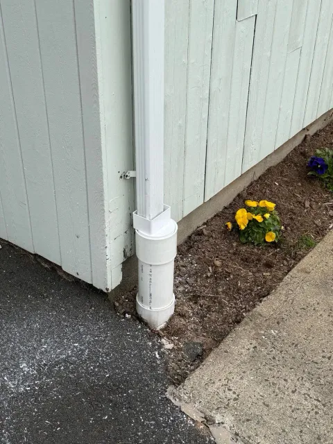White downspout at building corner beside sidewalk, mulch bed with yellow flowers nearby