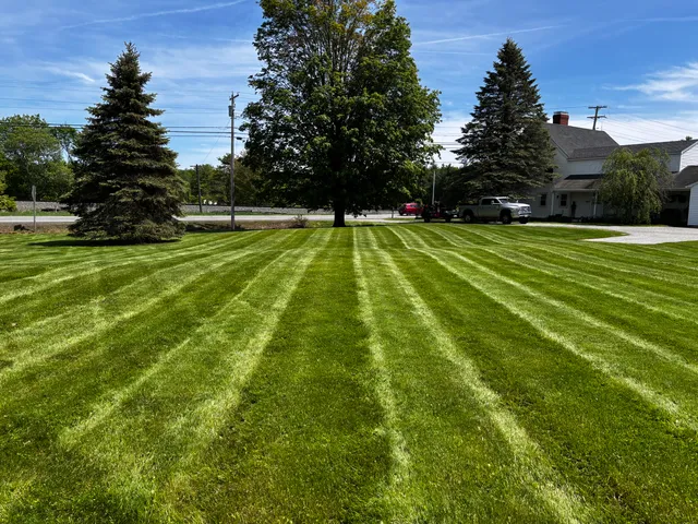 DXT Landscaping, LLC work photo