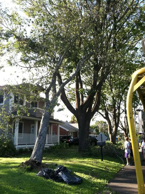 work photo from rttreeremoval.com