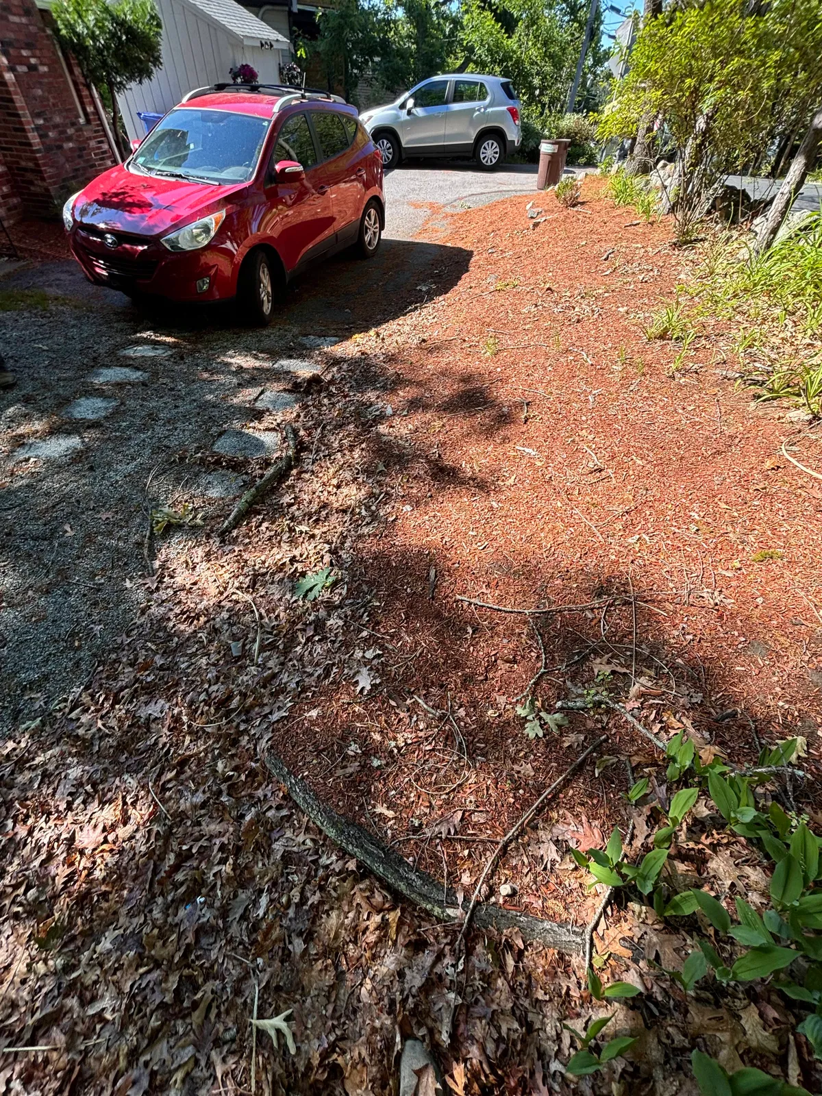 Before lawn care Lexington MA