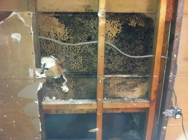 Affordable Mold & Duct Cleaning work photo