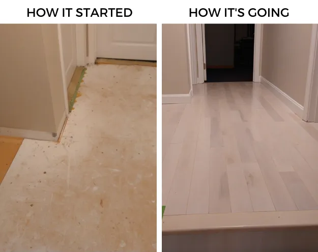 PF-BEFOREANDAFTER.png