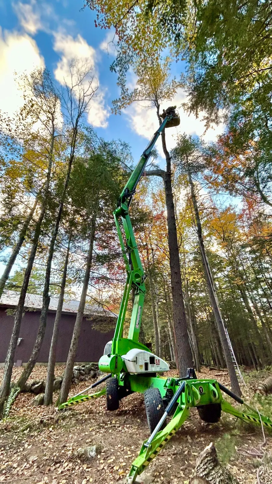 new england tree service aerial lift cutting tree over barn