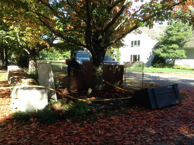 Northern Arboriculture, LLC work photo