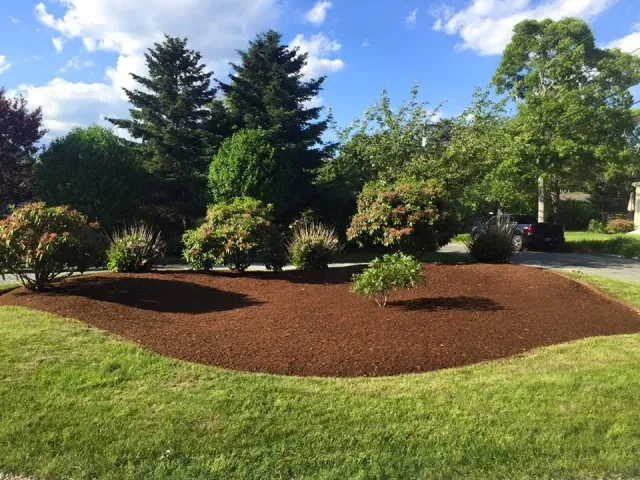 Landscape Services