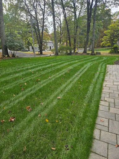 Review photo by A Williams