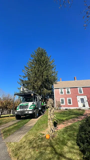 work photo from twtreecare.com