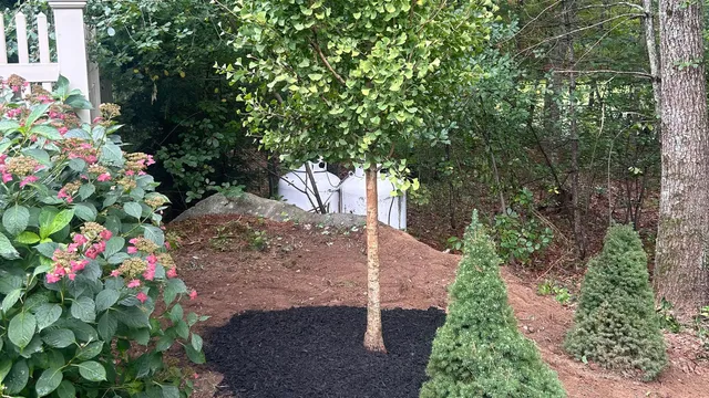 Winter Harbor Snow Management LLC work photo