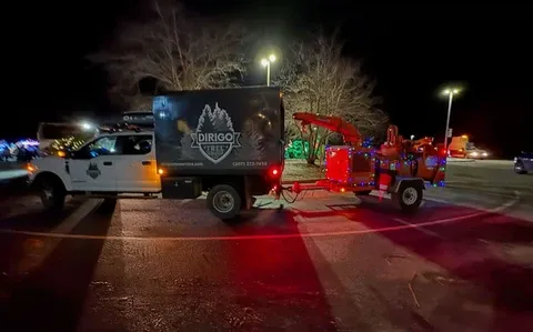 work photo from dirigotreeservice.com