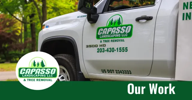 work photo from capassolandscaping.com