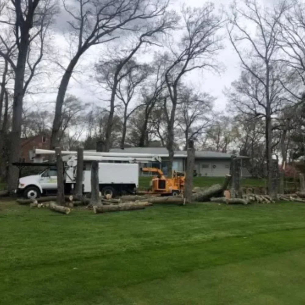 truck parked on grass