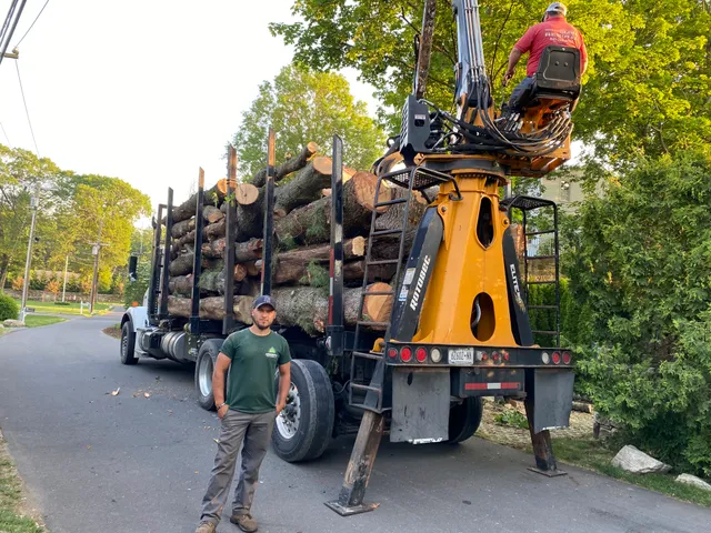 ArborPro Tree Experts LLC work photo