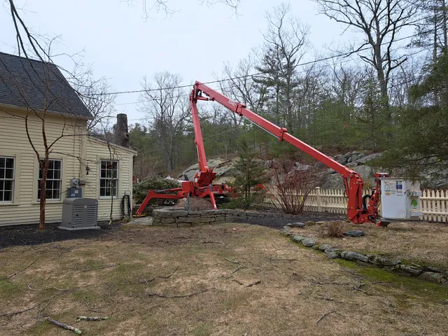 New England Tree Service, Inc. work photo