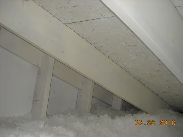 work photo from moldcarepros.com