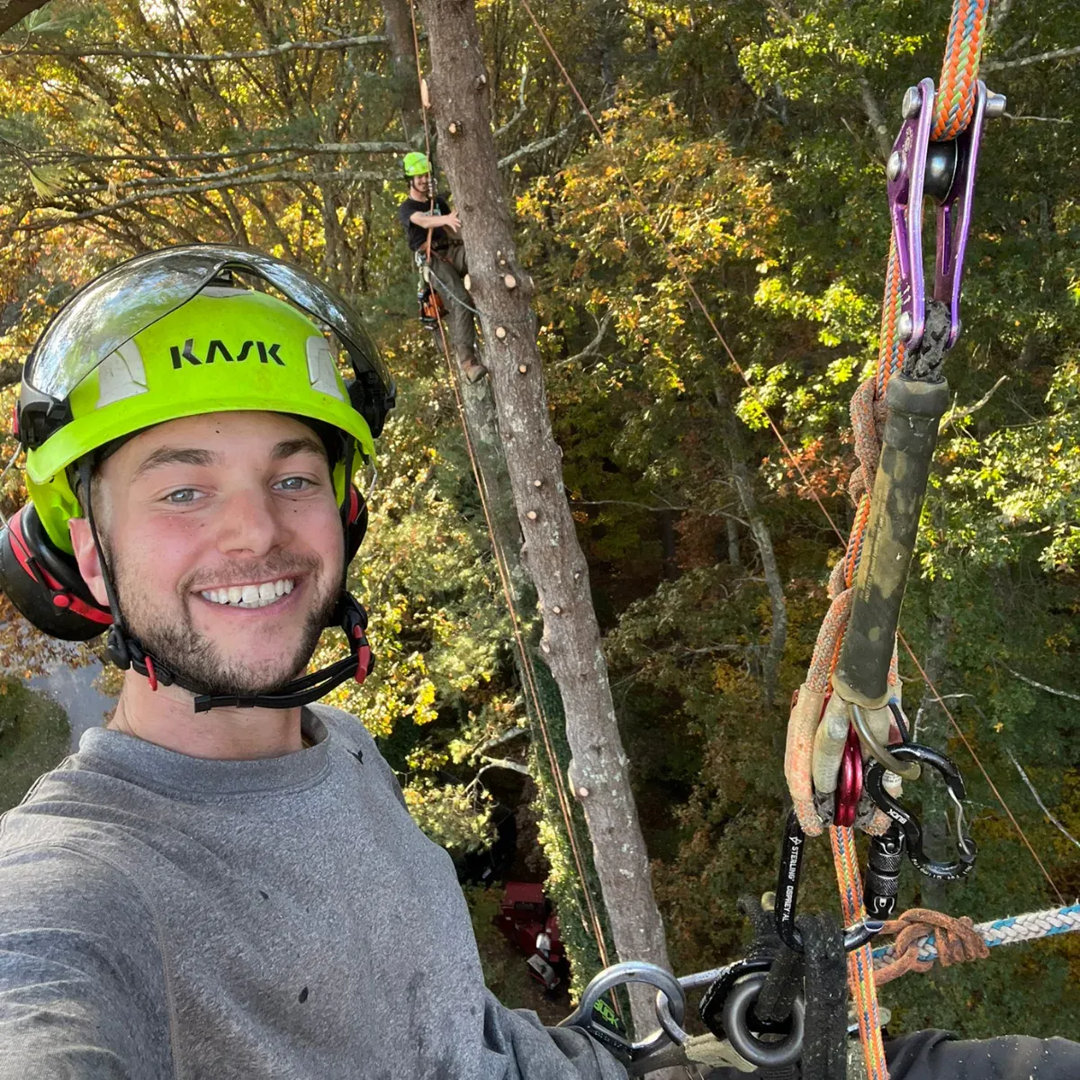 work photo from dovercountrytrees.com