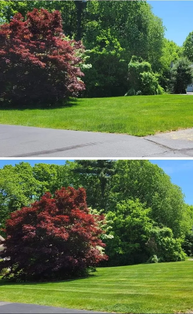 Sammy's Lawns