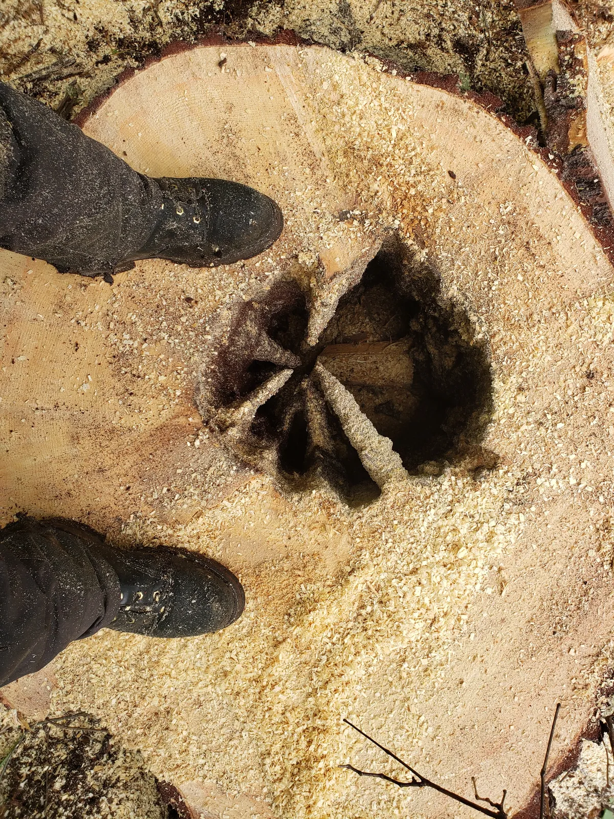 work photo from Google listing