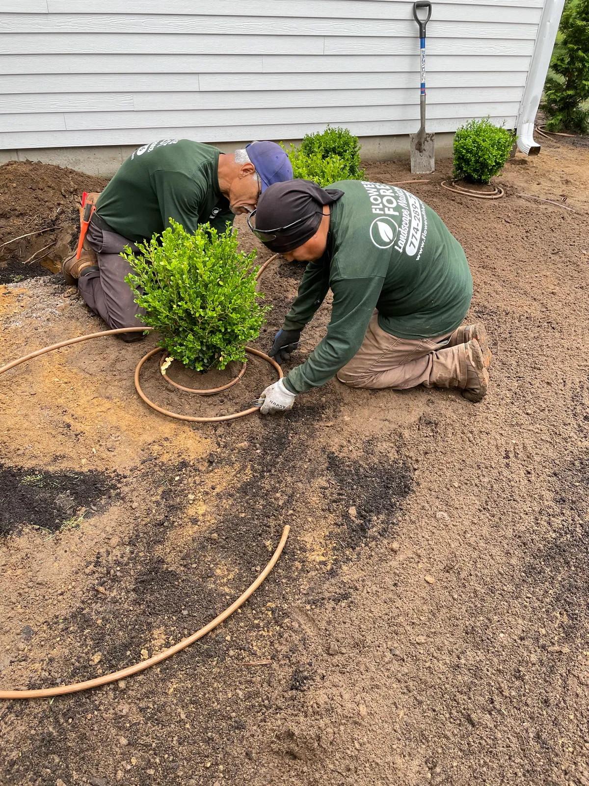 work photo from Google listing