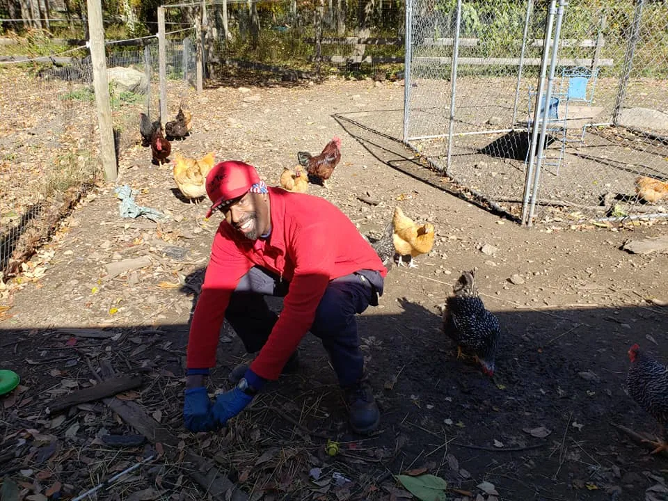 work photo from pro-tecexterminating.com