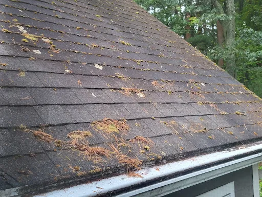 Review photo by Mark- MWL