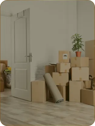image of cleaner