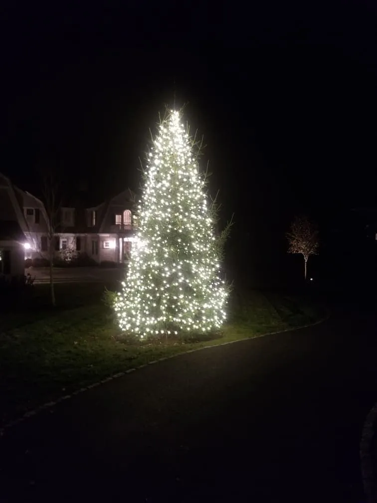 Holiday lighting installed by Rainfall Irrigation