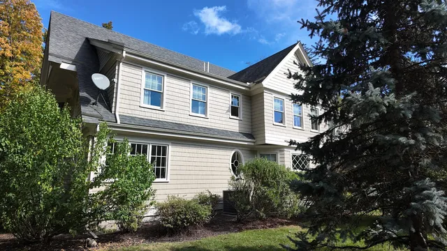 Big Dog Painting - Woburn Painters