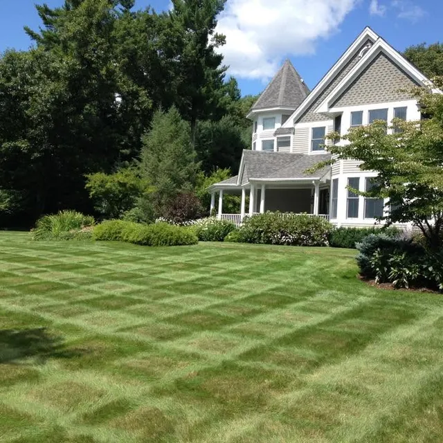 Mario's Lawncare researched project photo
