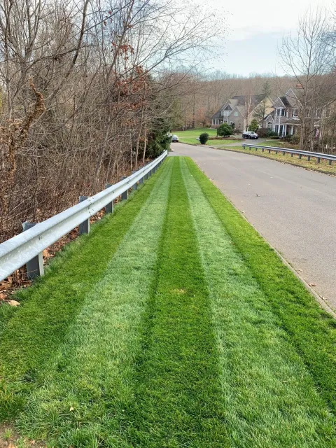 work photo from lattanziolandscaping.com