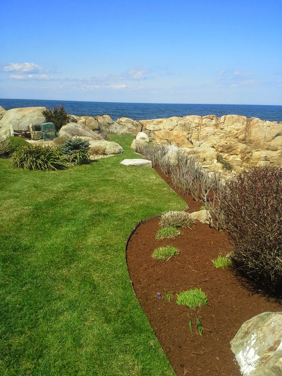 Antonio's landscaping & construction & tree service & carpentry & panting demolition and more