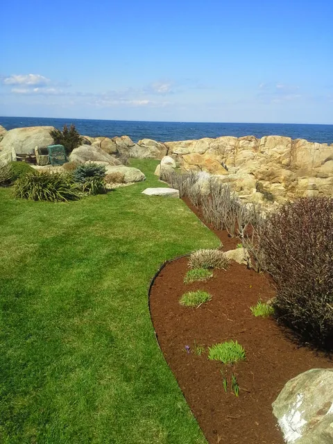 Antonio's landscaping & construction & tree service & carpentry & panting demolition and more