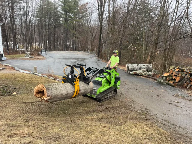 JN Tree Service LLC work photo