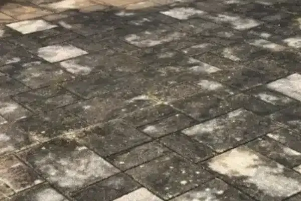 Before: A patterned stone patio with some discolored, moss-covered areas and patches of dirt.