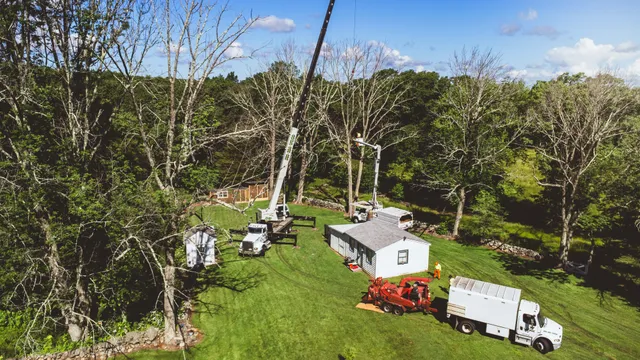 Bob's Tree Work work photo