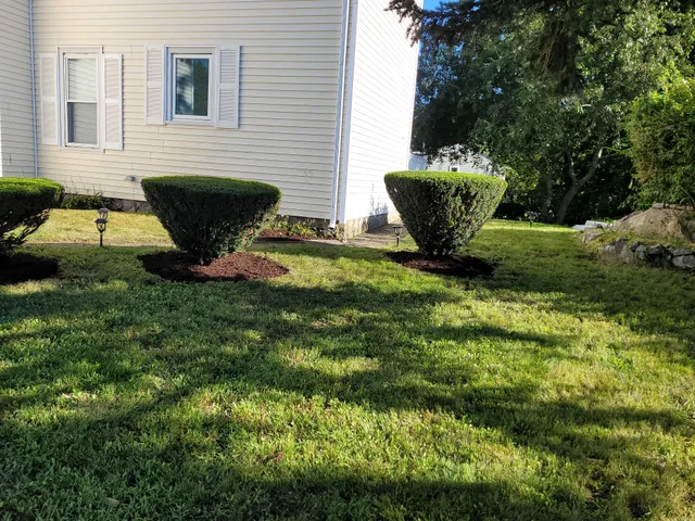 PORTILLO H LANDSCAPING work photo
