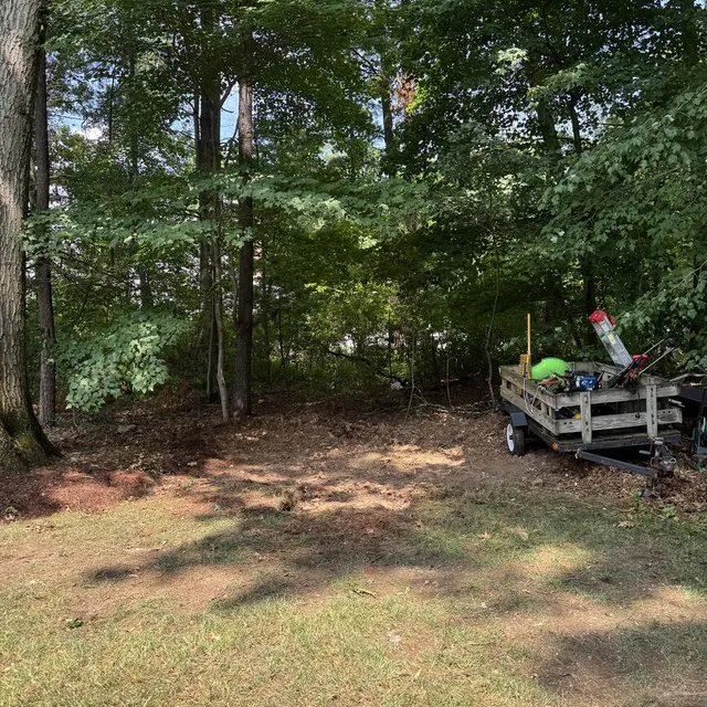 Shed cleanout & demo after — cleared by Joe's Junk Removal & Demolition