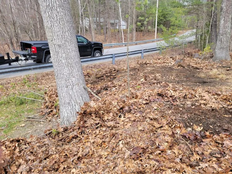 Fall & Spring Cleanups