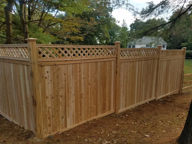 Advance Fencing work photo